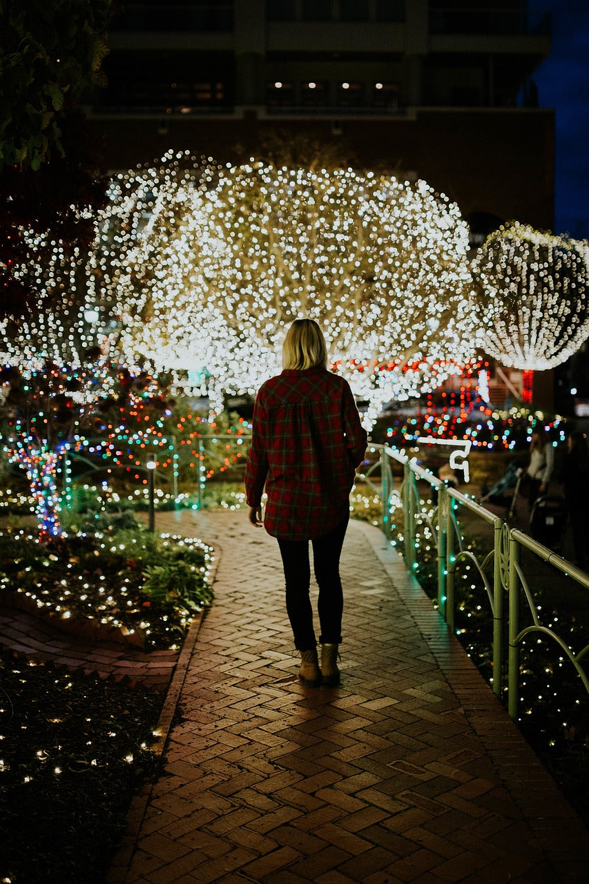 Christmas Lights
