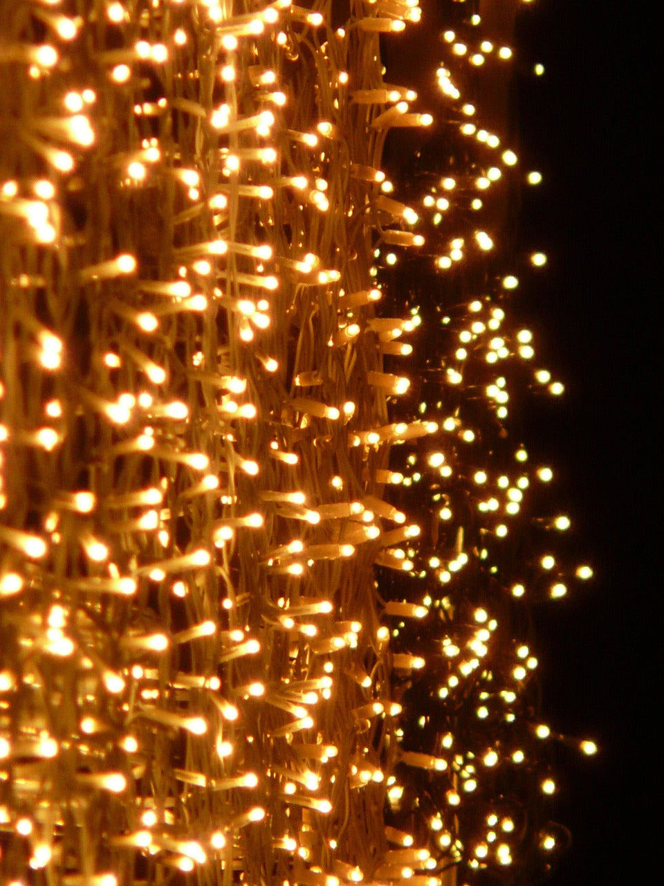 Fairy Lights