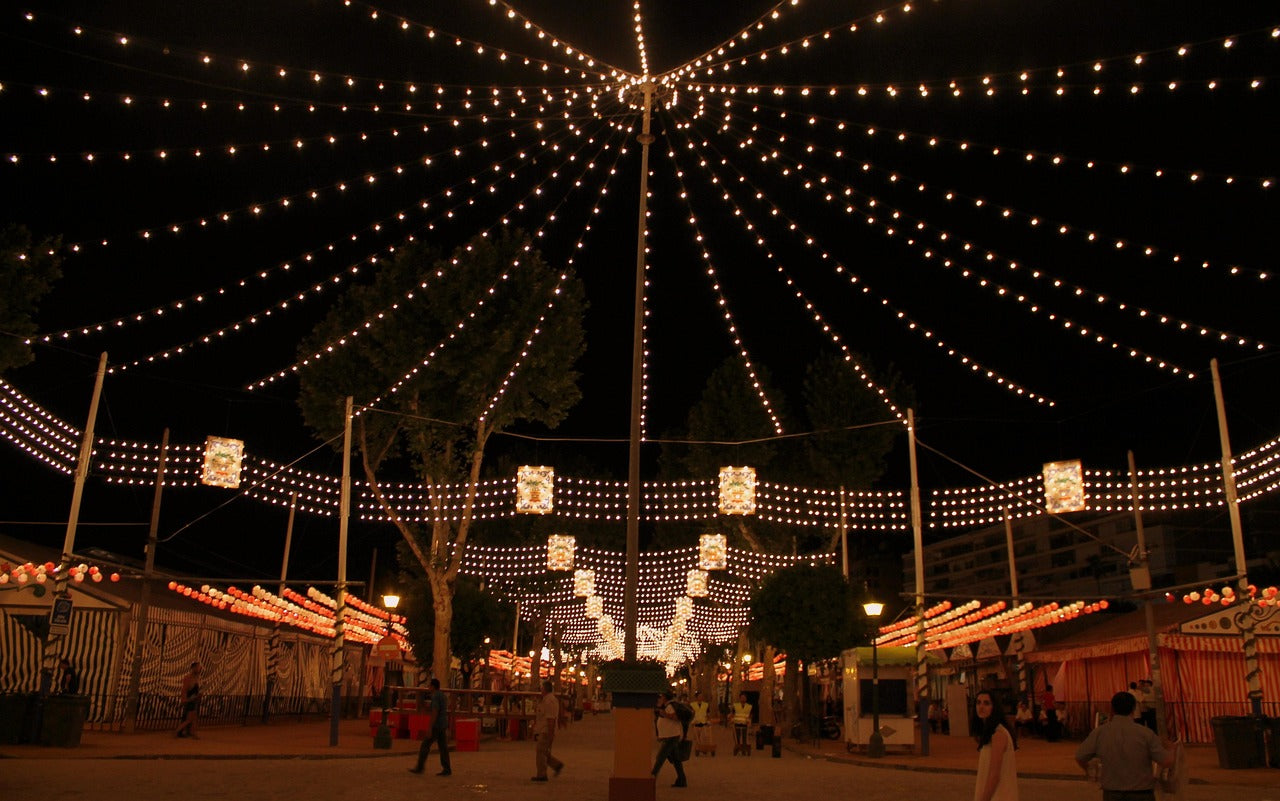 Festoon Lights
